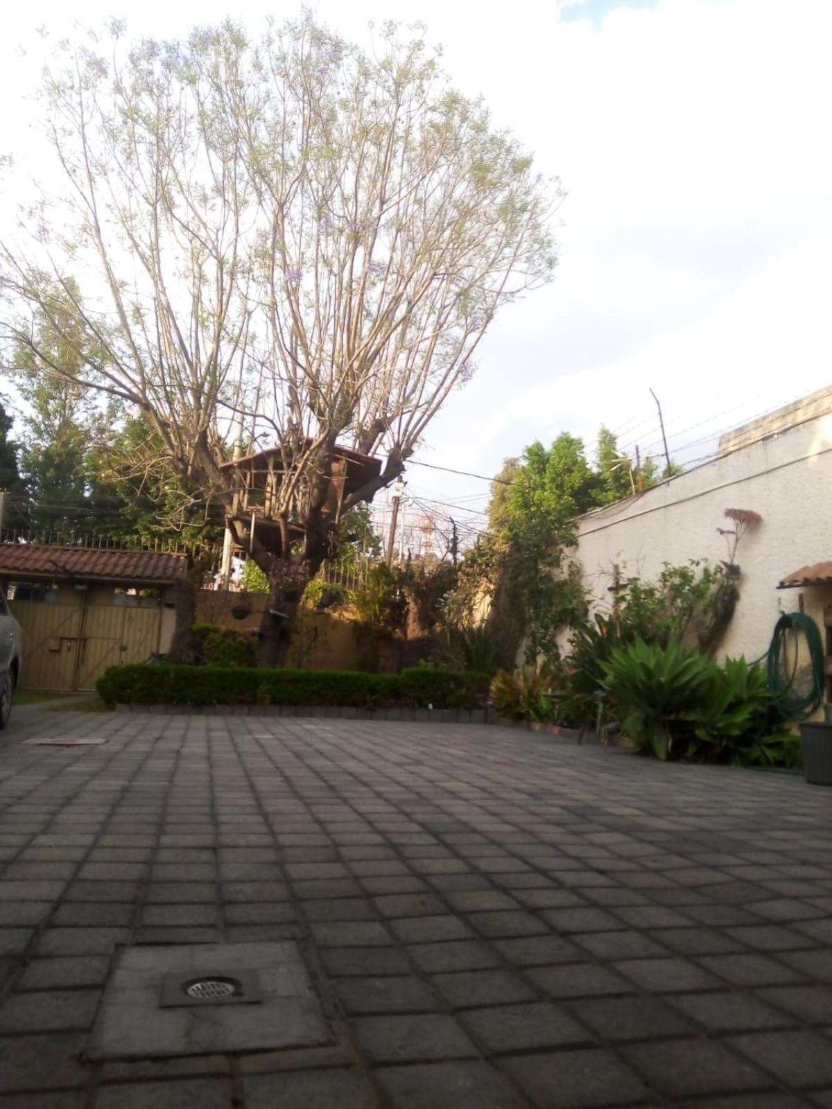 Casita Del Arbol Appartement Mexico-stad Buitenkant foto