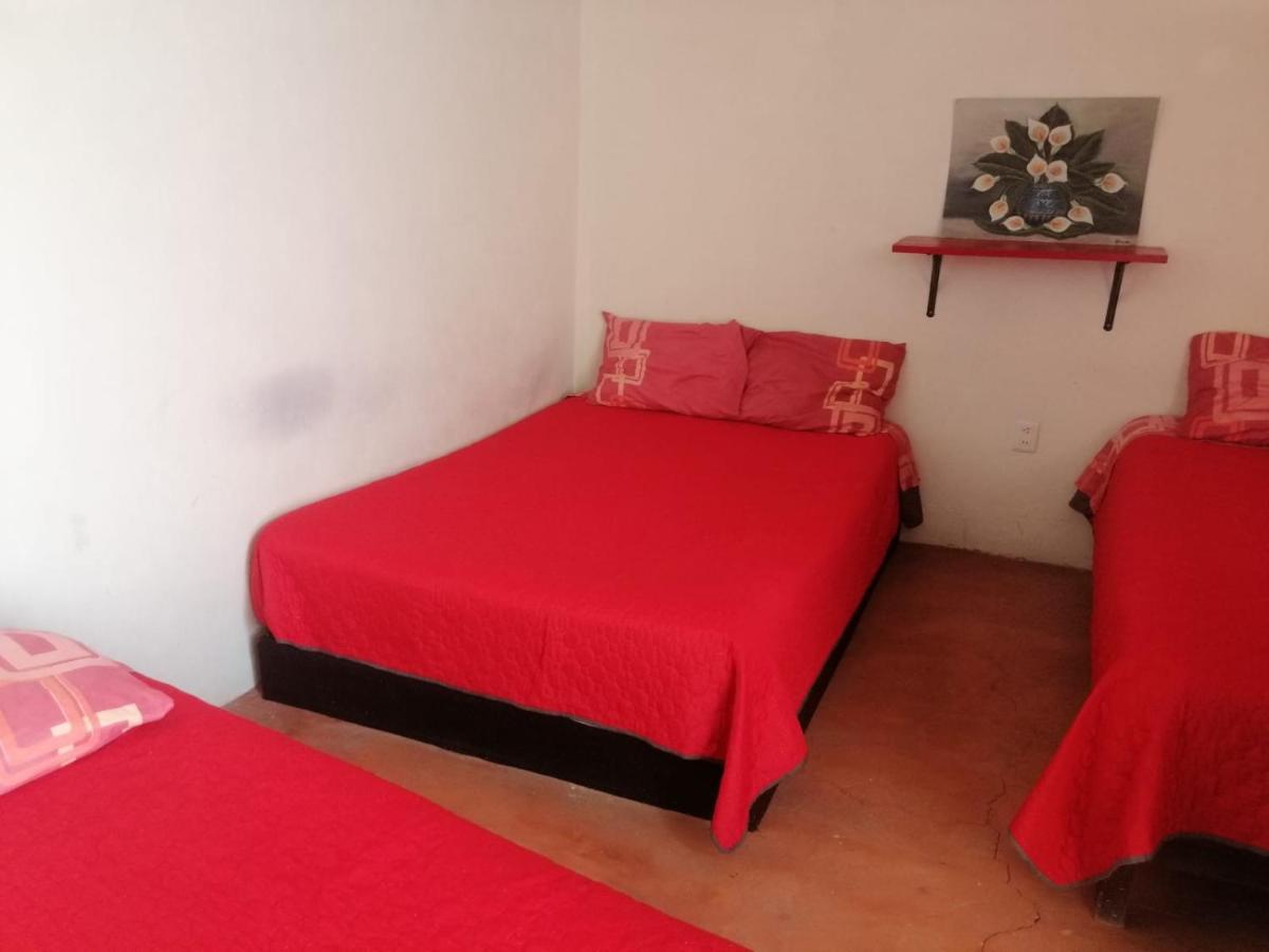 Casita Del Arbol Appartement Mexico-stad Buitenkant foto