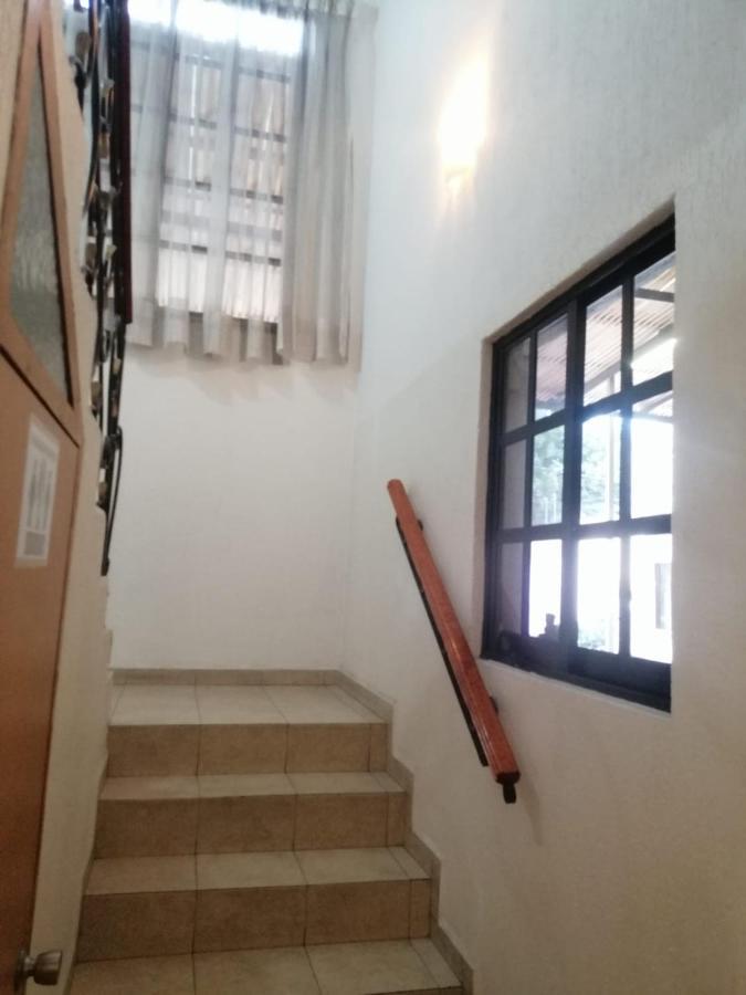 Casita Del Arbol Appartement Mexico-stad Buitenkant foto