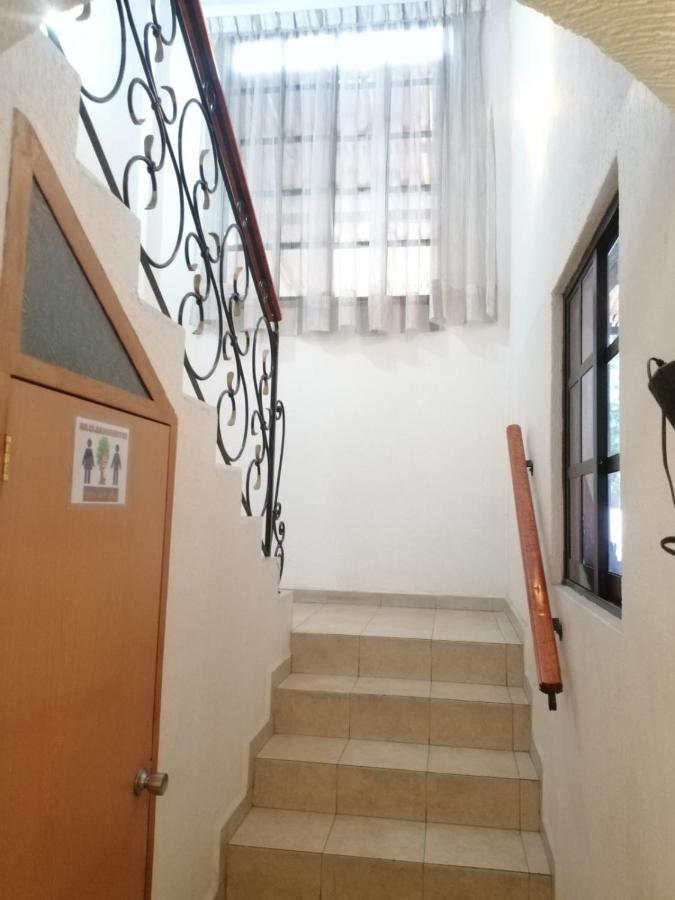 Casita Del Arbol Appartement Mexico-stad Buitenkant foto