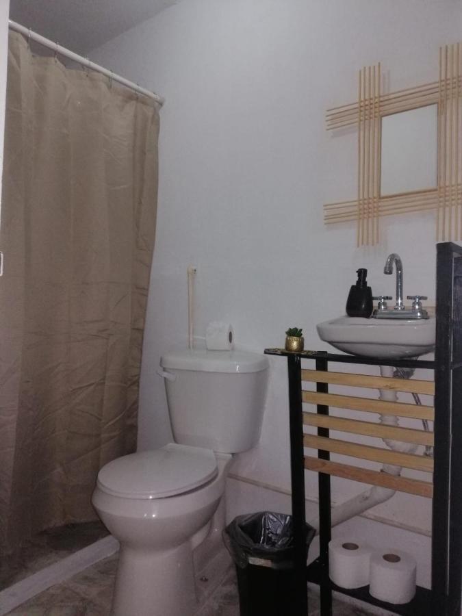 Casita Del Arbol Appartement Mexico-stad Buitenkant foto