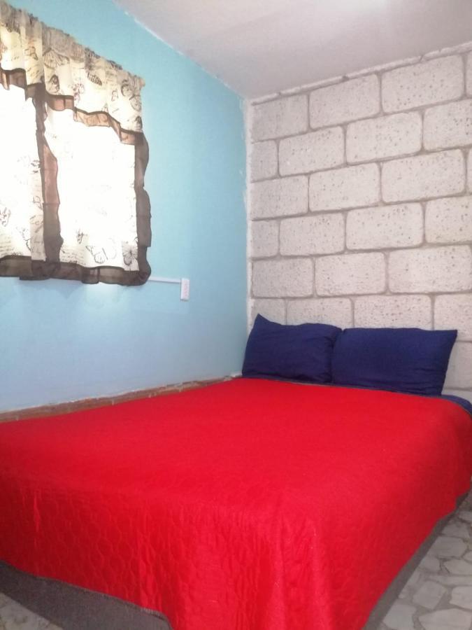 Casita Del Arbol Appartement Mexico-stad Buitenkant foto