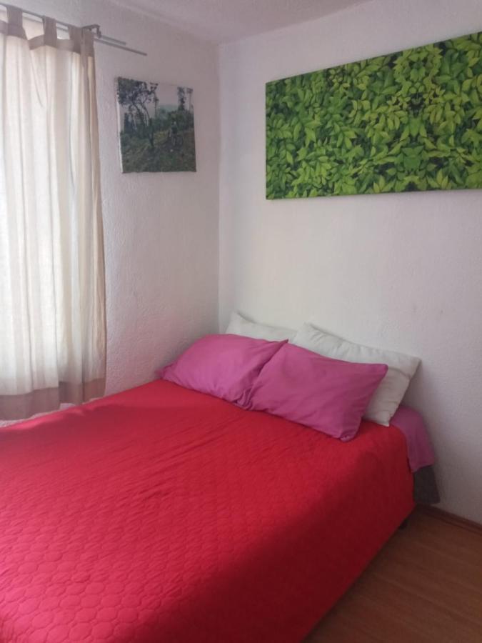 Casita Del Arbol Appartement Mexico-stad Buitenkant foto