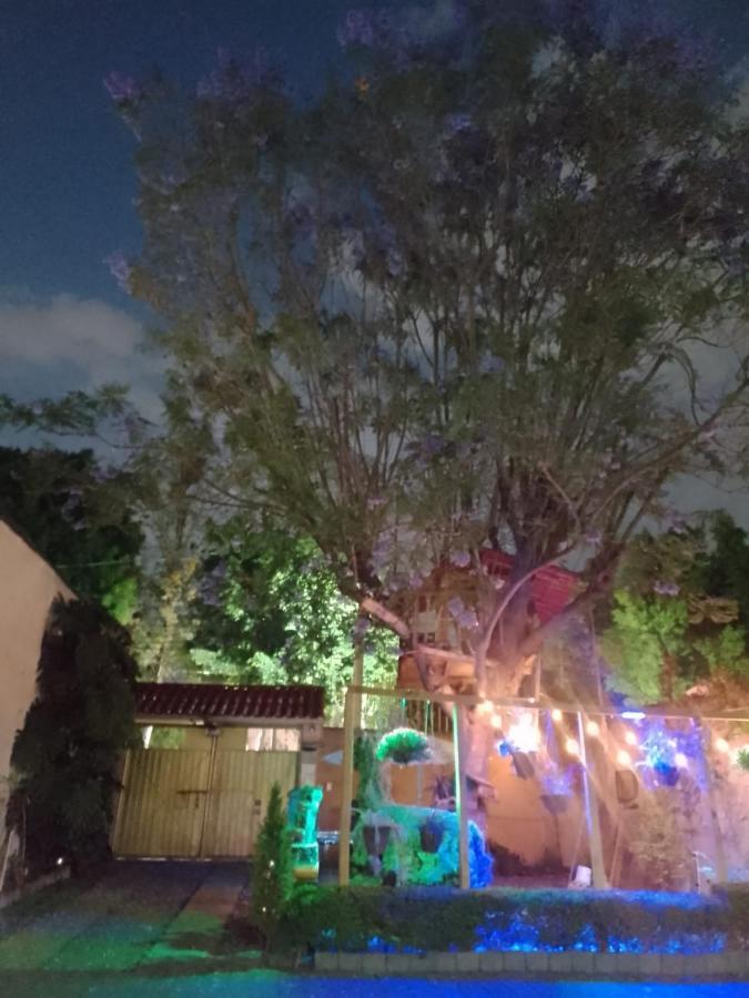 Casita Del Arbol Appartement Mexico-stad Buitenkant foto