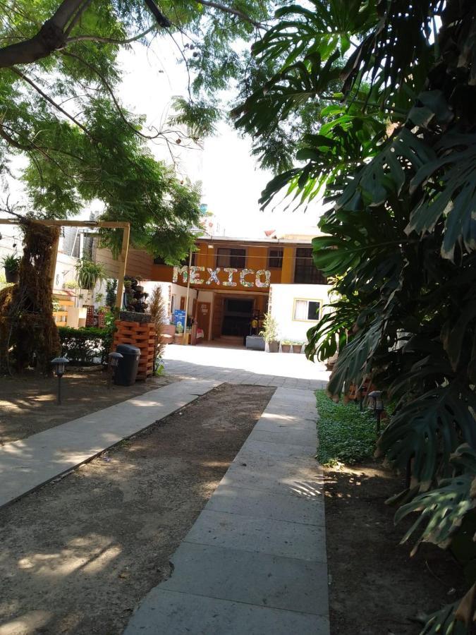 Casita Del Arbol Appartement Mexico-stad Buitenkant foto