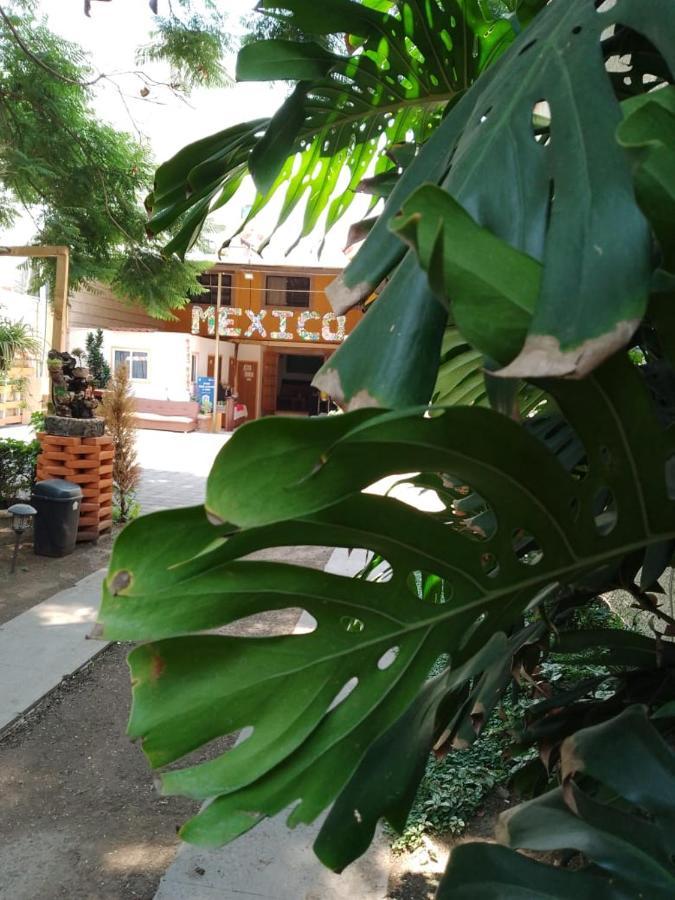 Casita Del Arbol Appartement Mexico-stad Buitenkant foto