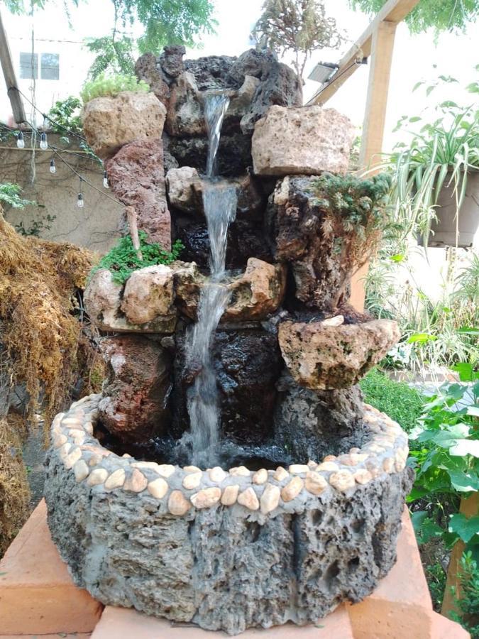 Casita Del Arbol Appartement Mexico-stad Buitenkant foto
