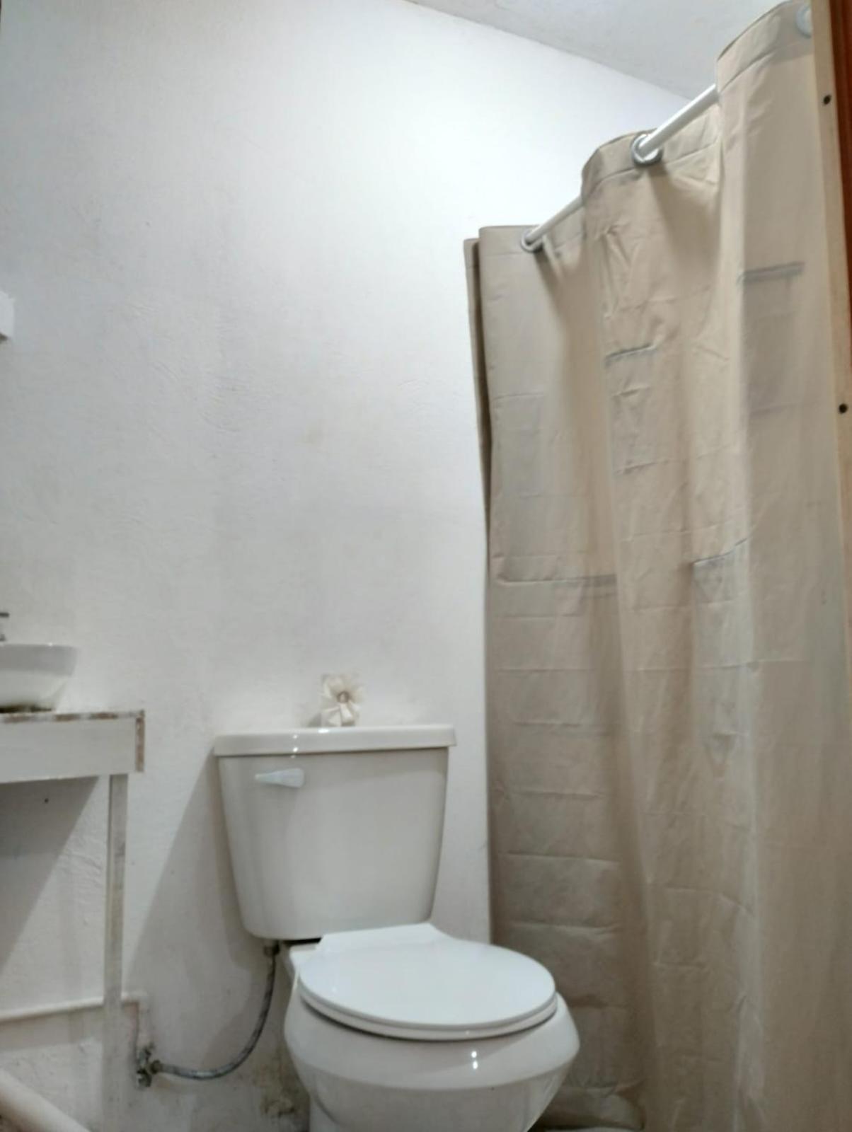 Casita Del Arbol Appartement Mexico-stad Buitenkant foto