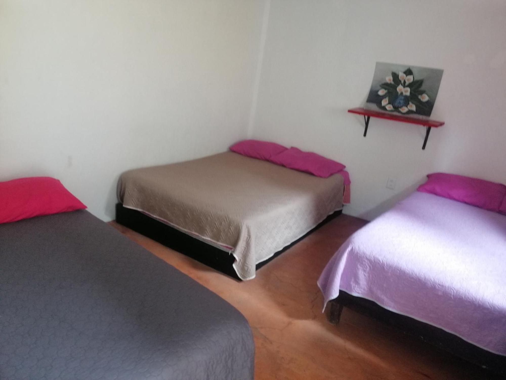 Casita Del Arbol Appartement Mexico-stad Kamer foto